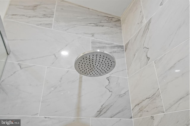 room details with tiled shower