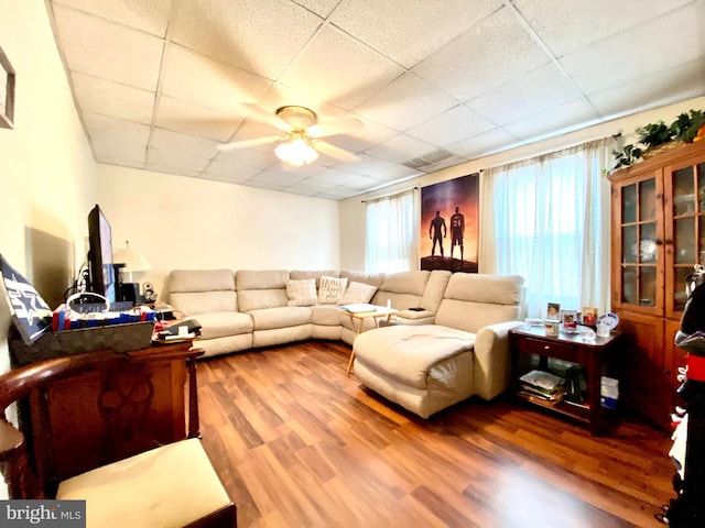 living room featuring a healthy amount of sunlight, hardwood / wood-style floors, and a paneled ceiling