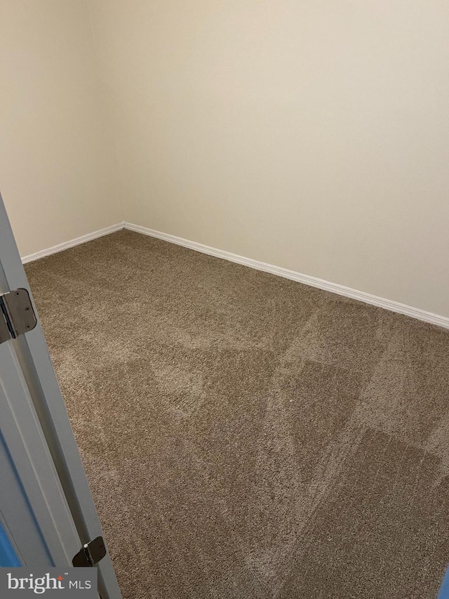 interior details featuring carpet floors