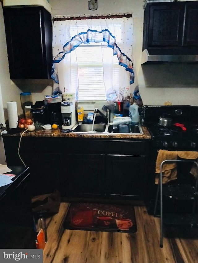 kitchen with sink, black range, and wood-type flooring