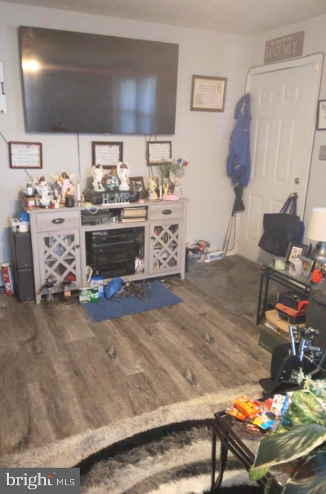 living room with hardwood / wood-style floors