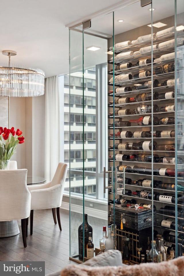 wine room featuring wood-type flooring