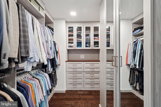 spacious closet featuring dark hardwood / wood-style floors