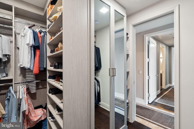 spacious closet featuring dark hardwood / wood-style floors