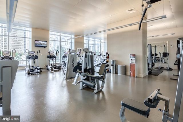 exercise room featuring a wall of windows