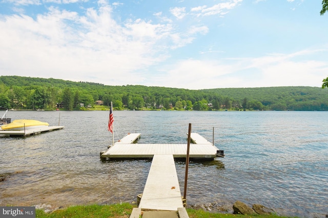 view of dock with a water view