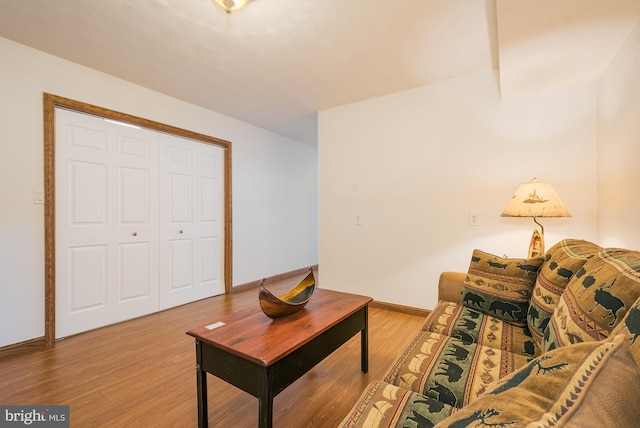 living room featuring hardwood / wood-style flooring