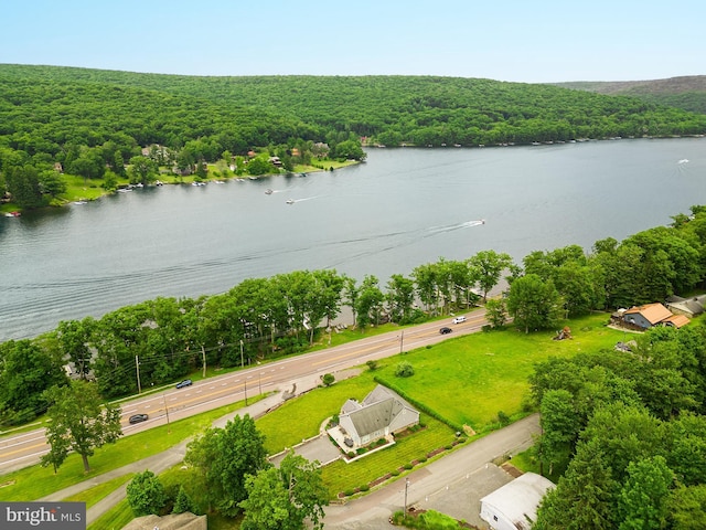 drone / aerial view featuring a water view