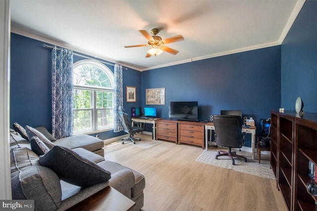 home office featuring light wood finished floors, a ceiling fan, and ornamental molding