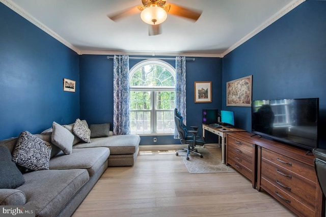 office featuring baseboards, ornamental molding, a ceiling fan, and light wood finished floors