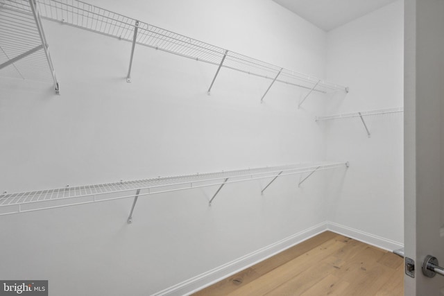 spacious closet featuring wood-type flooring