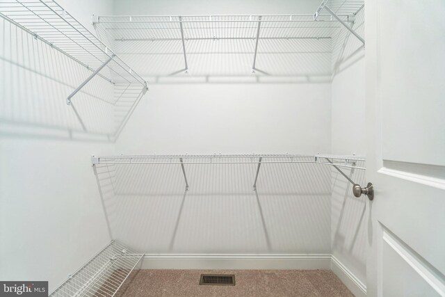 5095 Maple Ridge Way, Emmaus, PA 18049 - walk in closet featuring carpet