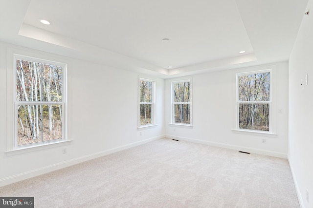 spare room featuring light carpet and a tray ceiling