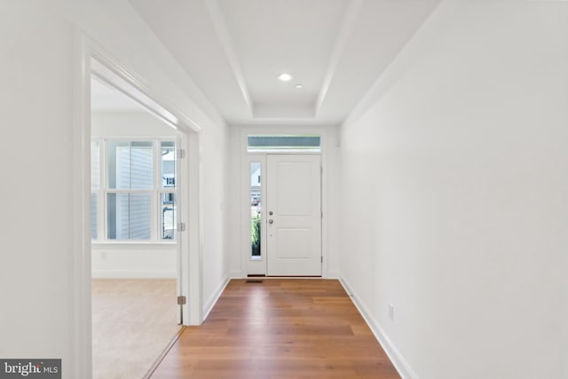 doorway with hardwood / wood-style floors and plenty of natural light