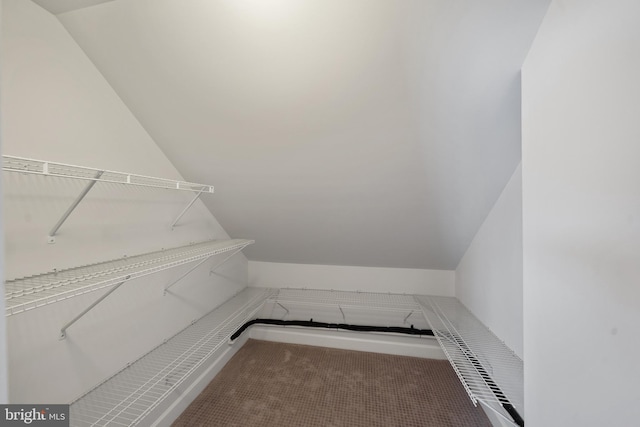 walk in closet with carpet floors and vaulted ceiling