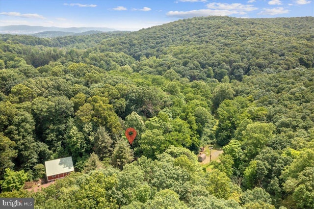 birds eye view of property featuring a mountain view