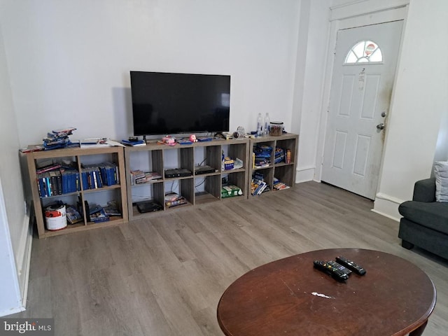 living room with hardwood / wood-style floors