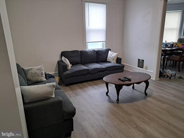 living room featuring light hardwood / wood-style floors