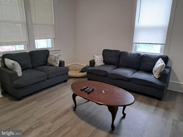 living room featuring a wealth of natural light and light hardwood / wood-style flooring