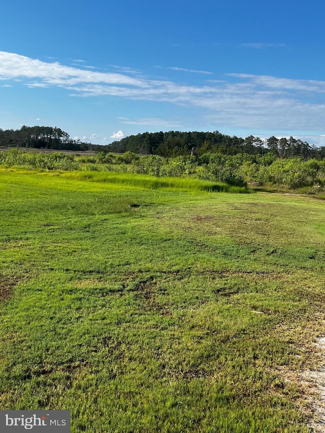 view of nature with a rural view