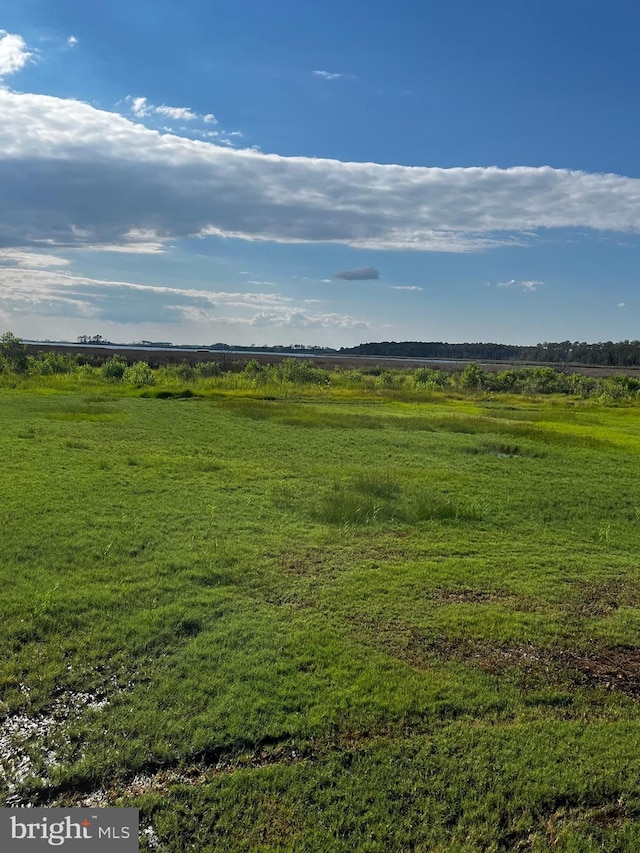 view of local wilderness featuring a rural view