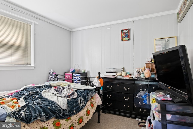 484 Brough Rd, Abbottstown, PA 17301 - bedroom with carpet and crown molding