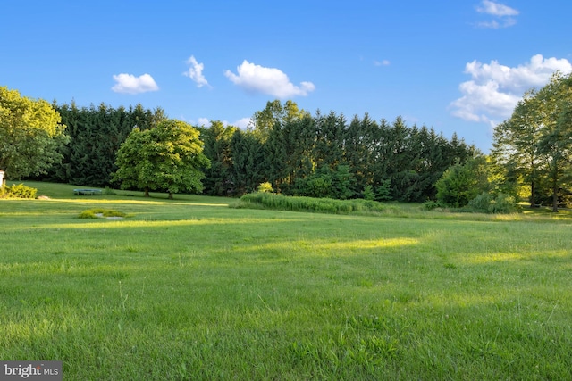 484 Brough Rd, Abbottstown, PA 17301 - view of green lawn