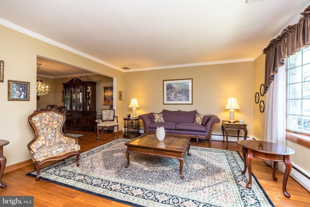 living room featuring wood-type flooring, crown molding, a baseboard radiator, and an inviting chandelier