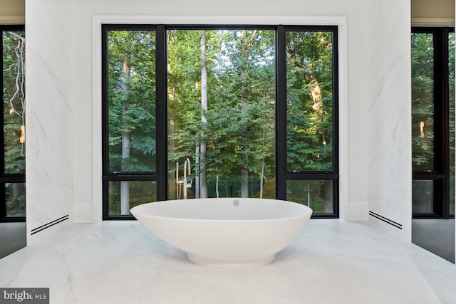 interior space featuring a bath and plenty of natural light