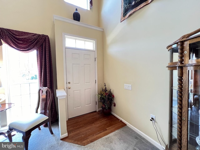 foyer with wood-type flooring