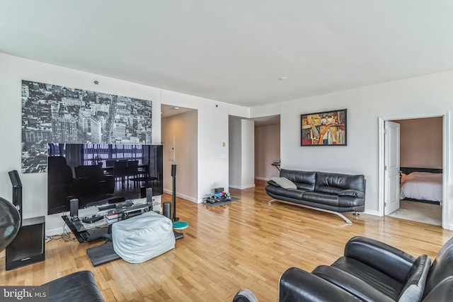 living room with wood-type flooring