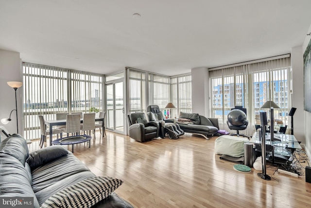 living room with light hardwood / wood-style floors and expansive windows