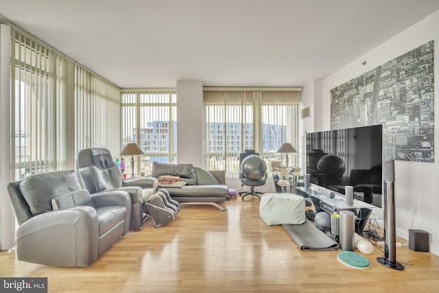 living room featuring light hardwood / wood-style flooring