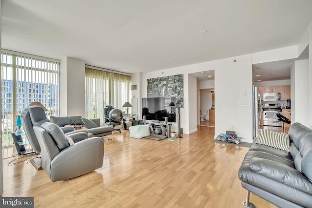 living room featuring light hardwood / wood-style floors