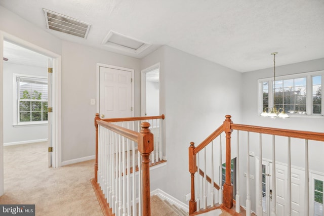 hall featuring light colored carpet and a healthy amount of sunlight