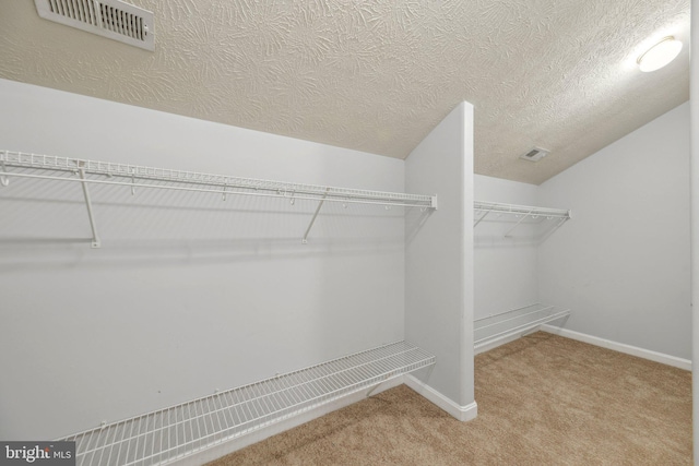 spacious closet featuring light colored carpet