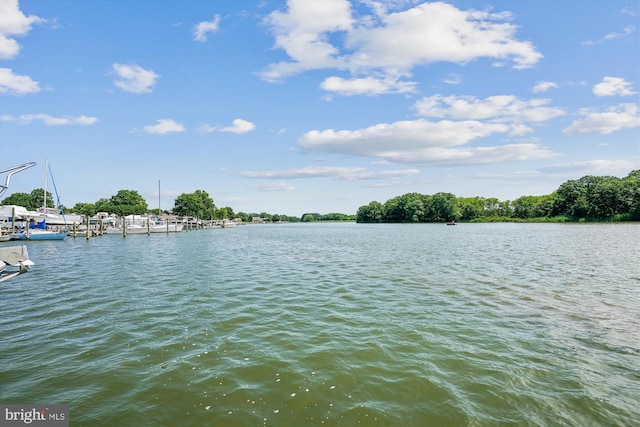 view of water feature with a dock