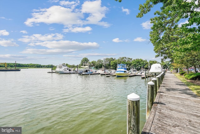 dock area with a water view