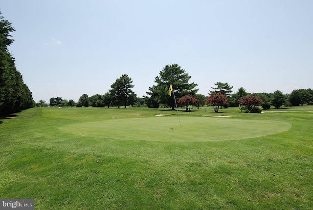 surrounding community featuring a yard