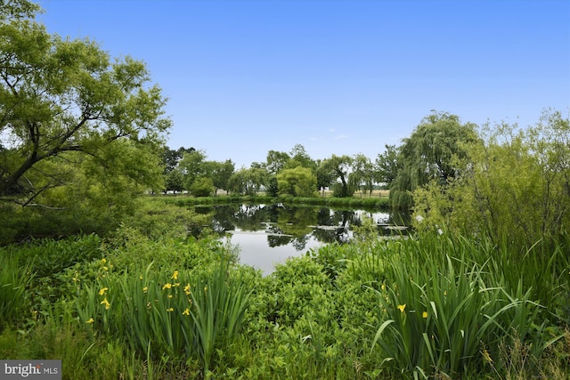 view of water feature