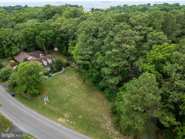 bird's eye view