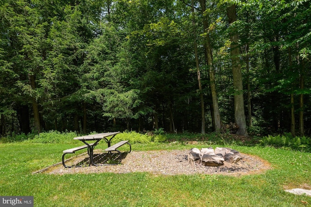 view of yard with a fire pit