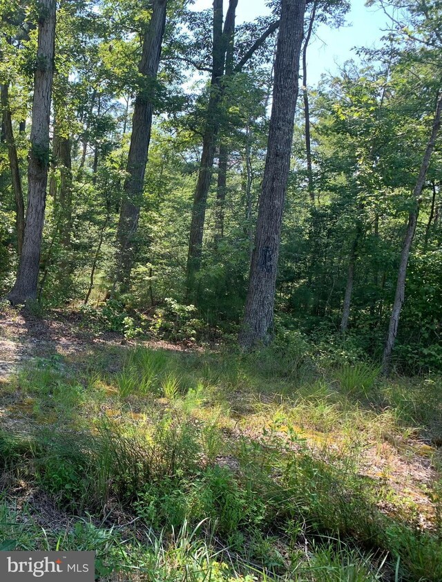 Cuckold Creek Rd, Newburg MD, 20664 land for sale