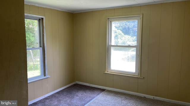 empty room featuring carpet flooring, a healthy amount of sunlight, and wooden walls