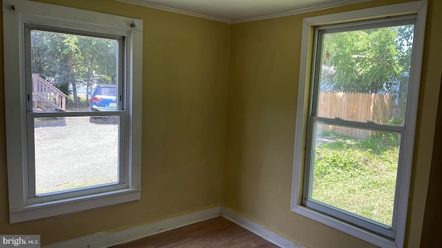 empty room featuring hardwood / wood-style flooring, plenty of natural light, and ornamental molding