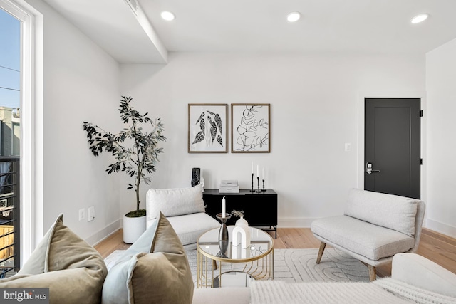 living room featuring light wood-type flooring