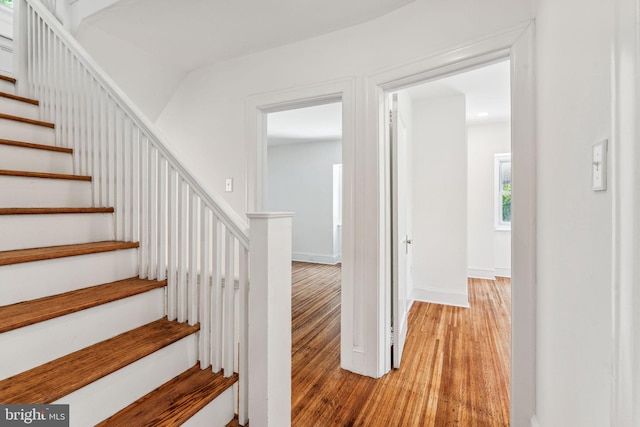 staircase featuring wood-type flooring