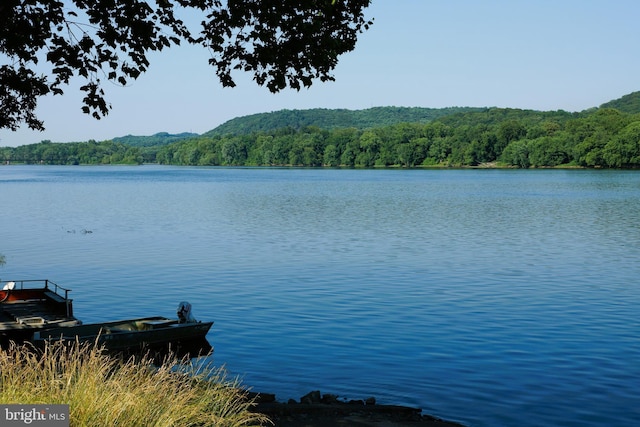 view of water feature featuring a dock