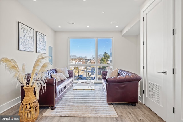 living room featuring light hardwood / wood-style flooring