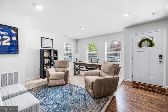 living room featuring hardwood / wood-style floors